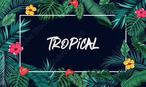 Tropical forest with rectangle frame on blue background