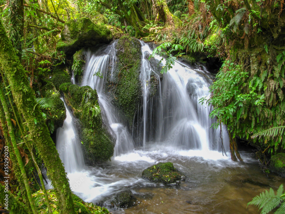 waterfall in deep forest