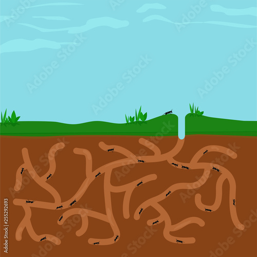Ants busy in ant hill tunnels beneath a large blue sky. Square landscape. Flat design vector illustration.