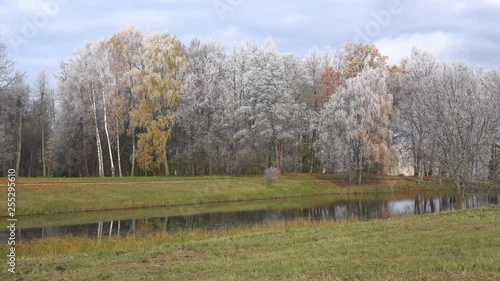 Panorama of the Trigorskoe Park in the autumn frost. Pushkin Mountains, Russia  photo