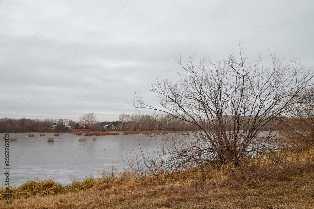 Yellow landscape in autumn cloudy day with yellow grass, a lake and a village on the other side Yellow landscape in autumn cloudy day with yellow grass, a lake and a village on the other side