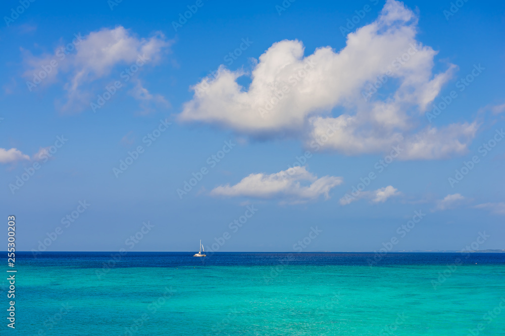 沖縄の海