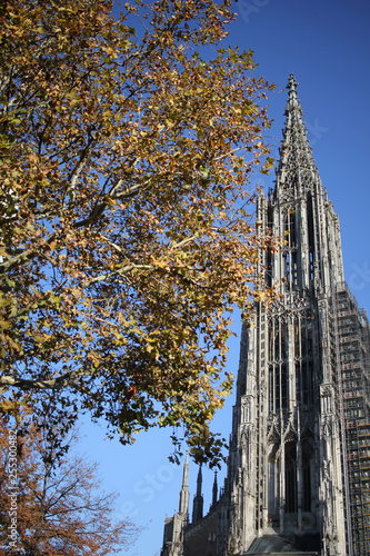 Lutheran minster Baden-Württemberg cathedral in Ulm old town, Germany, detail ancient architectural art outside of cathoric church, travel destination backgrounds with yellowish autumn tree photo