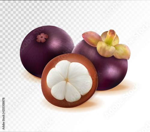 Mangosteen isolated on transparent background. Two whole queen fruits and one half as package design elements. Quality realistic vector, 3d illustration