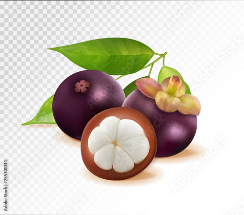 Mangosteen isolated on transparent background. Two whole queen fruits and one half as package design elements. Quality realistic vector, 3d illustration