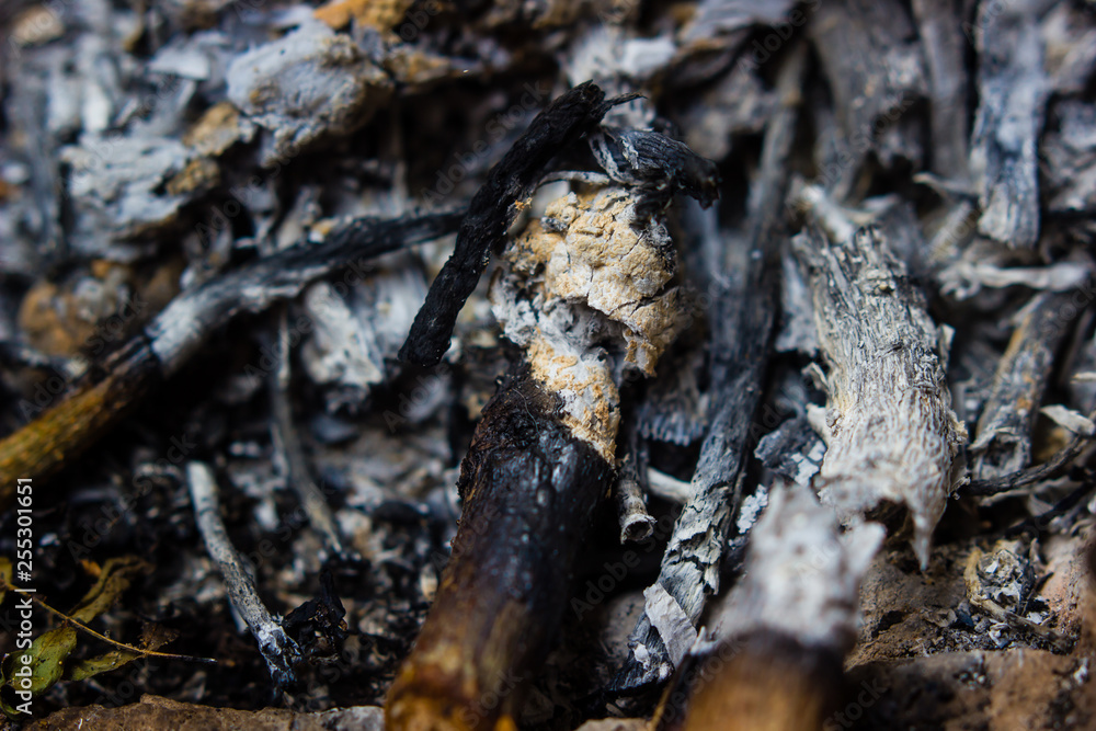 Pile of ashes from burn the wood in the stove. background and grunge texture Pile of ashes from burn the wood in the stove. background and grunge texture