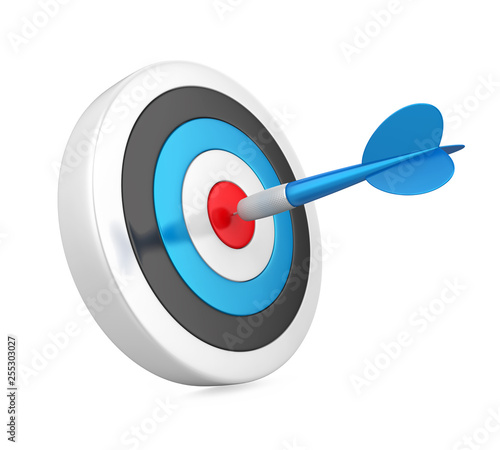 Arrow Darts and Target Isolated