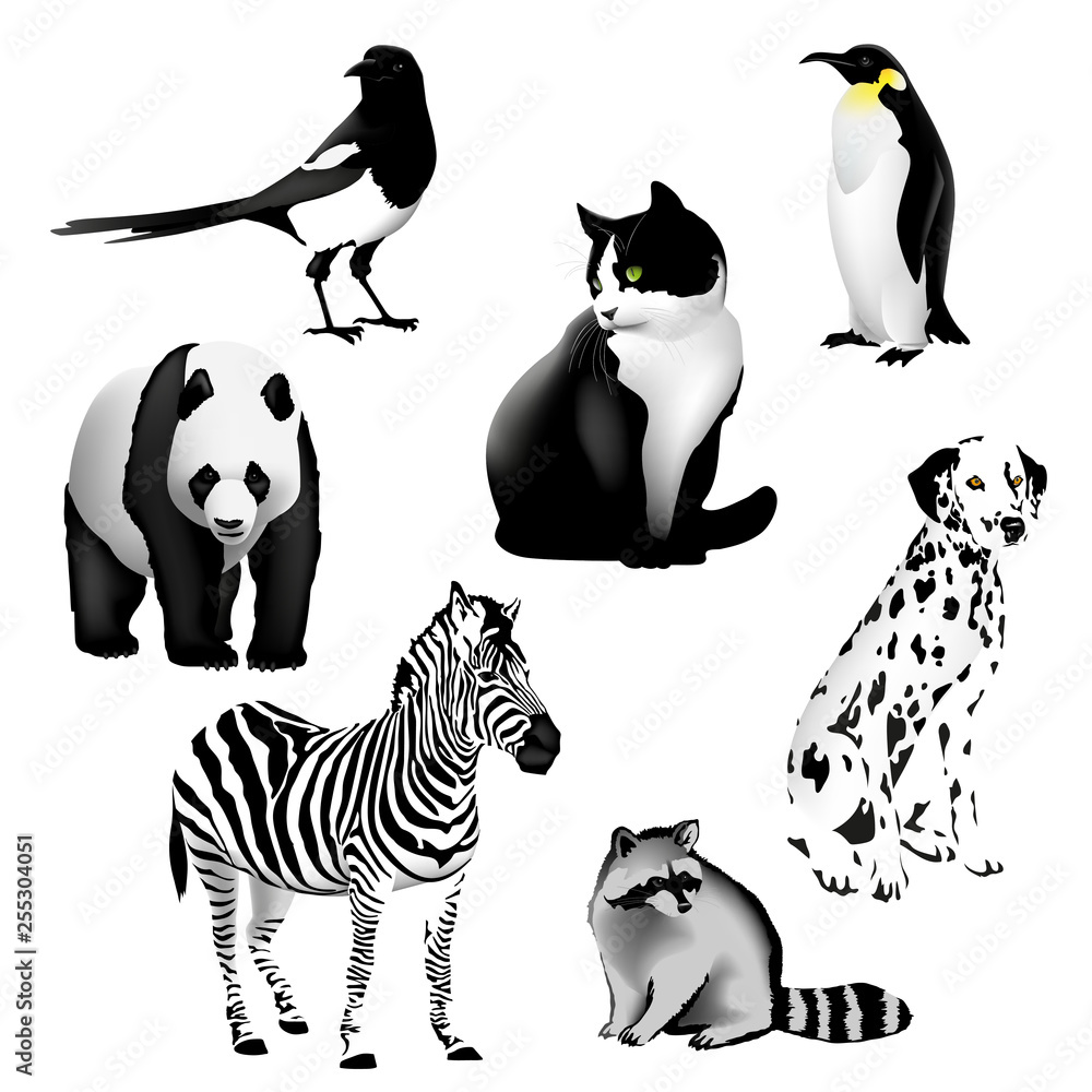 Black and White Animals Set of drawings of animals having a black and white  color. Illustration, vector. EPS-10. Stock Vector | Adobe Stock