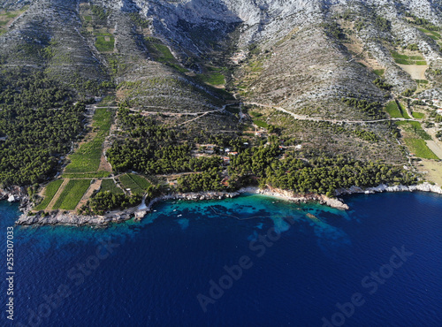 Vineyards on souths side of island Hvar, Croatia, drone shot.