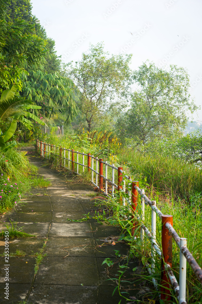 green path at river side green path at river side