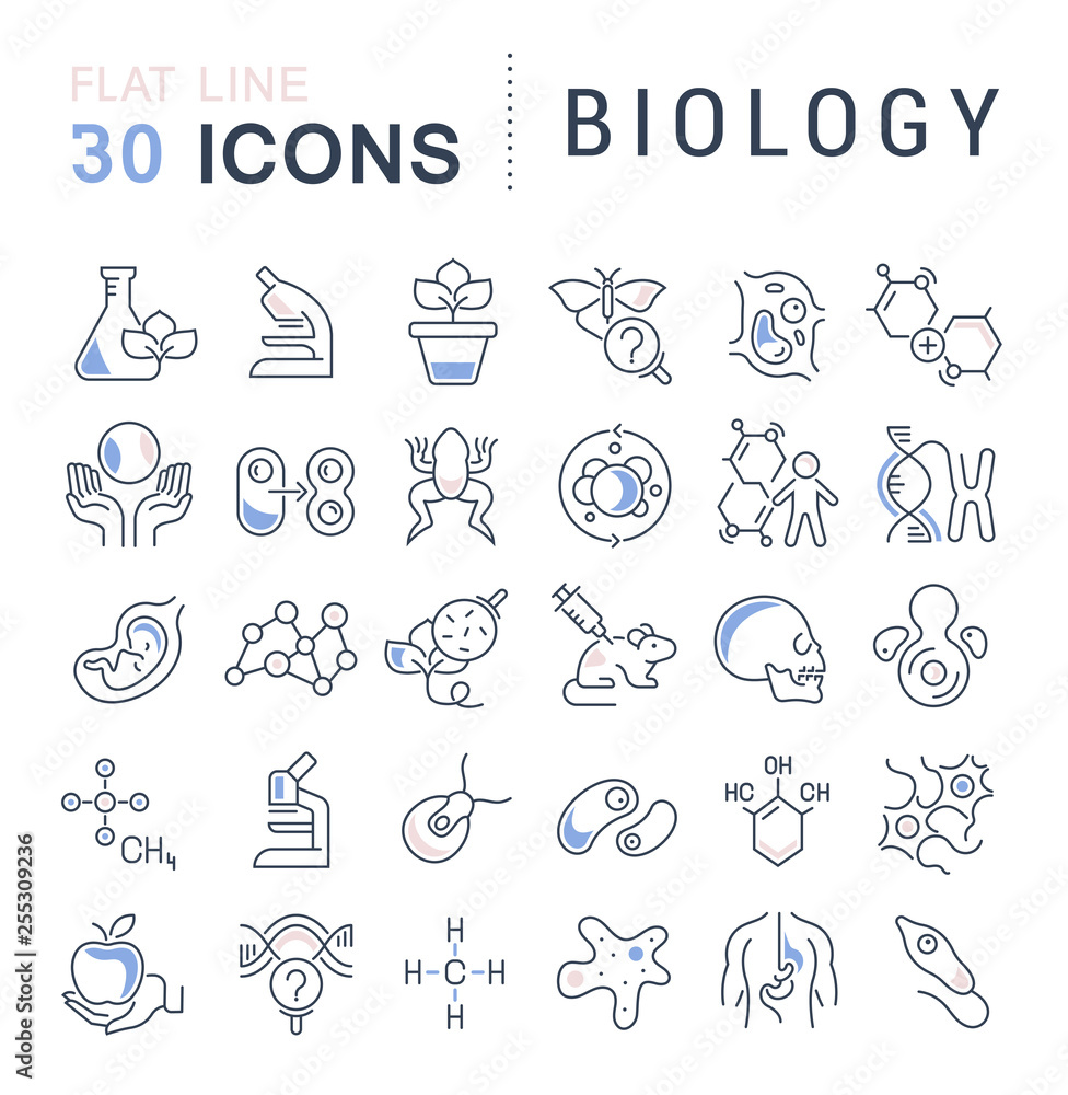 Set Vector Line Icons of Biology. Set Vector Line Icons of Biology.