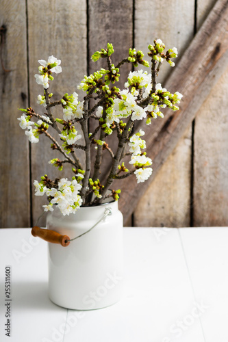 cherry flower blossom branch in enamel milk canister at white wooden table  old weathered wood wall background