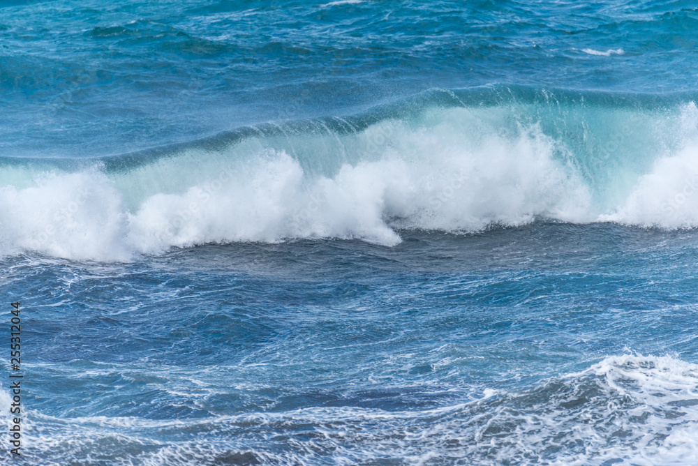 Waves and Surf on the Southern Italian Mediterranean Coast