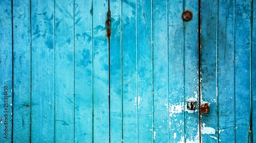 Old wood door texture background