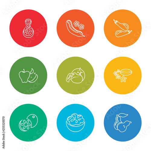 outline stroke pear, mangosteen, breast milk fruit, carambola, cabbage, tangerine, eggplant, cucumber, papaya, vector line icons set on rounded colorful shapes