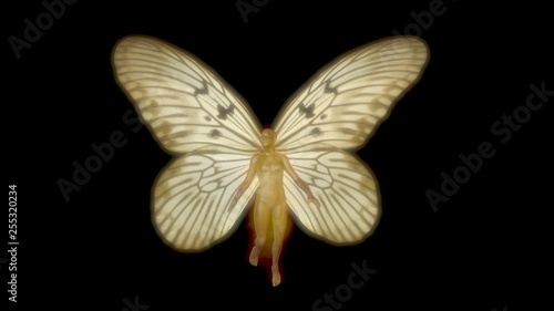 Fairy with wings . Ricepaper Idea blanchardi butterfly wing pattern.   3d  render photo