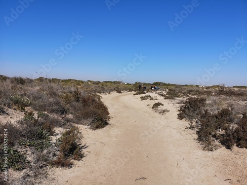 dunes in spain