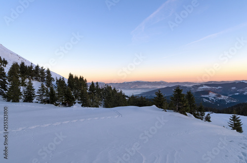 Cold cloudless sunrise over the Carpathian mountains and forests in winter; Early chilly morning
