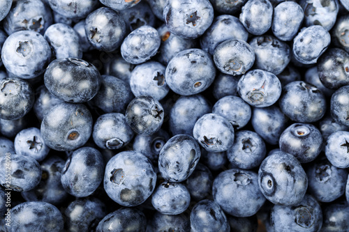 fresh blueberries as background