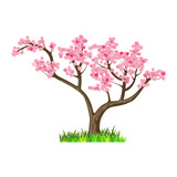 Japan tree. Sakura. Nature and ecology. Natural object for landscape design or park. Cherry Blossom Season. Cartoon style. Blooming tree illustration Isolated on white background.