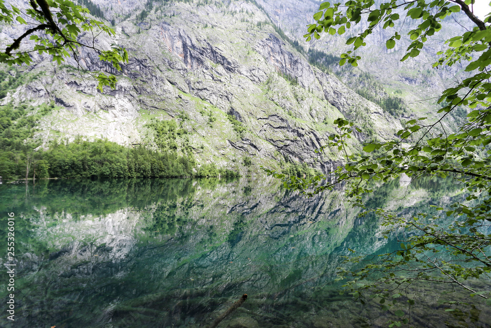 Obraz premium Mirror reflection in green Obersee lake. 