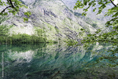 Mirror reflection in green Obersee lake. 