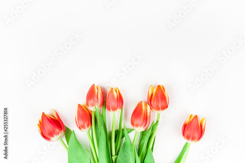 Fototapeta Naklejka Na Ścianę i Meble -  Red tulips flowers on white background