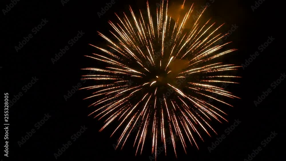 Festive single fireworks in the night sky Festive single fireworks in the night sky
