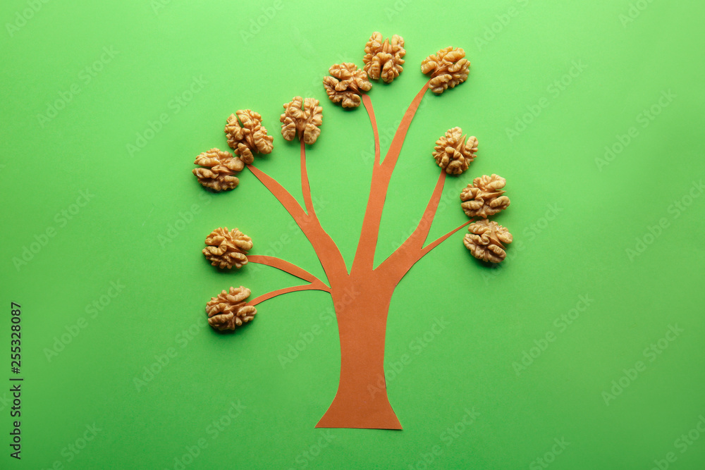 Tree with tasty shelled walnuts on color background Tree with tasty shelled walnuts on color background