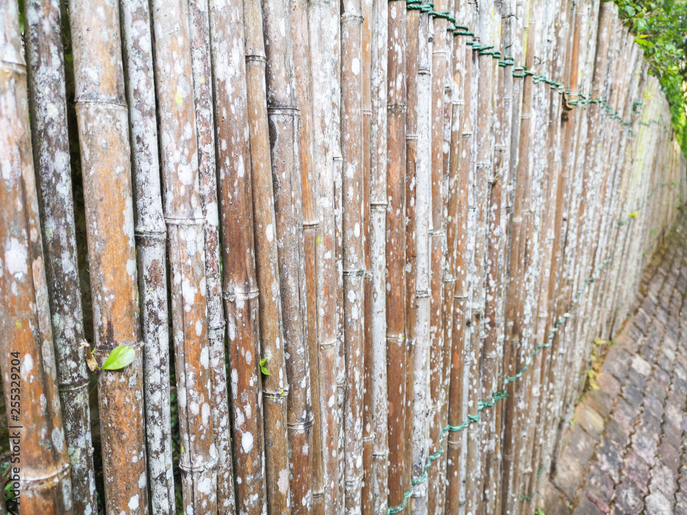 Obraz premium Bamboo fence