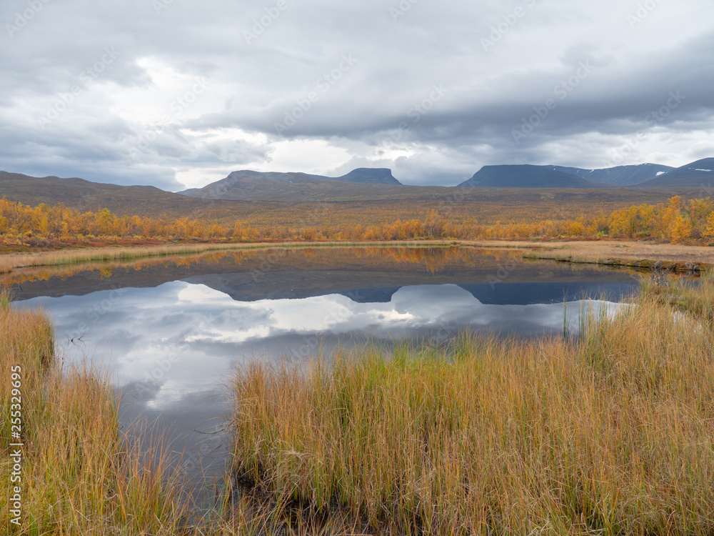 River in autumn. Abisko national park in Sweden.