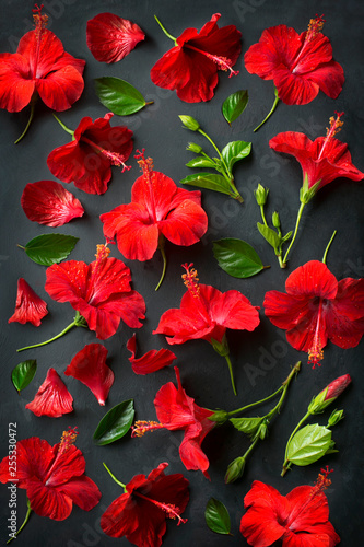 Flat lay red hibiscus flower heads on black background.