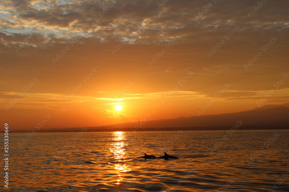 Sunrise with Dolphin - Bali - Indonesia