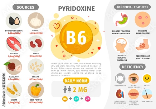 Infographics Vitamin B6. Products containing vitamin. Daily norm. Symptoms of deficiency. Vector medical poster. 