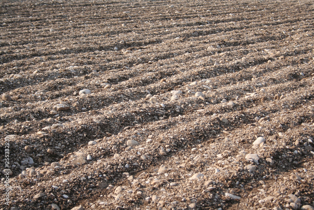 Plowed field with rows in springtime, Agricultural landscape Plowed field with rows in springtime, Agricultural landscape