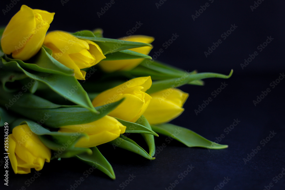 Bouquet of yellow tulips, black background, selective focus, free copy space - perfect for social media Bouquet of yellow tulips, black background, selective focus, free copy space - perfect for social media