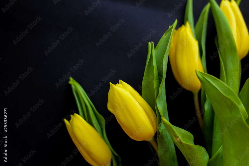 Bouquet of yellow tulips, black background, selective focus, free copy space - perfect for social media Bouquet of yellow tulips, black background, selective focus, free copy space - perfect for social media