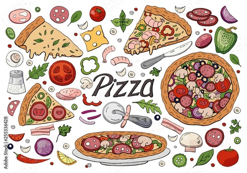 Big italian pizza and pizza ingredients isolated on white background. Hand drawn vector pizza collection.