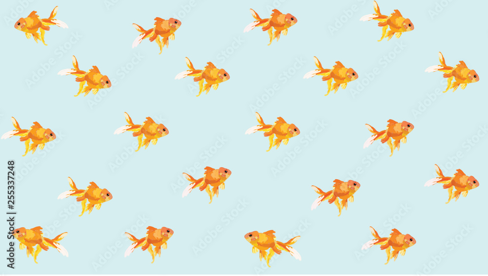 swimming goldfish swimming goldfish