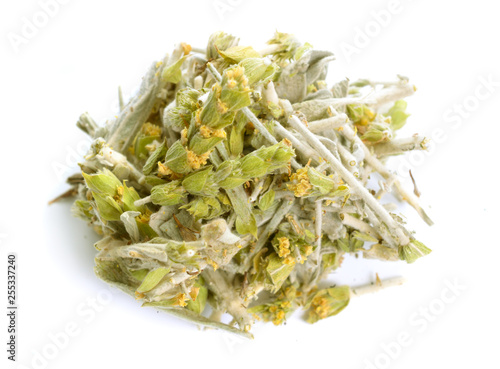 Sideritis, also known as ironwort, mountain tea and shepherd's tea. Isolated on white photo