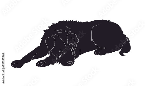 dog lies, silhouette, vector
