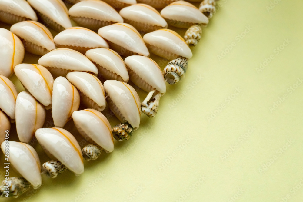 Beautiful summer cowrie shells on yellow background Beautiful summer cowrie shells on yellow background