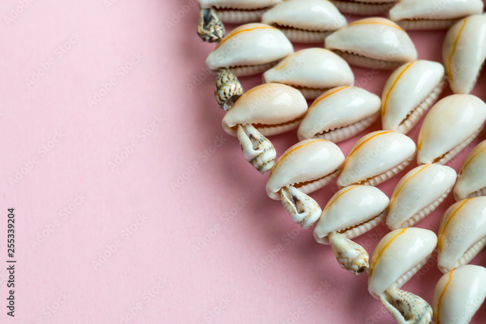 Beautiful summer cowrie shells on pink background Beautiful summer cowrie shells on pink background