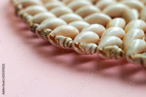 Beautiful summer cowrie shells on pink background