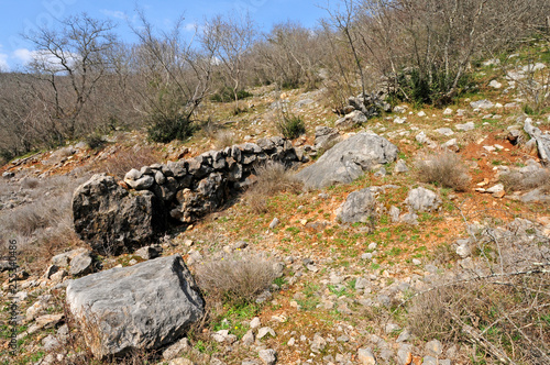 Wanderweg im Frühling auf der kroatischen Insel Krk photo