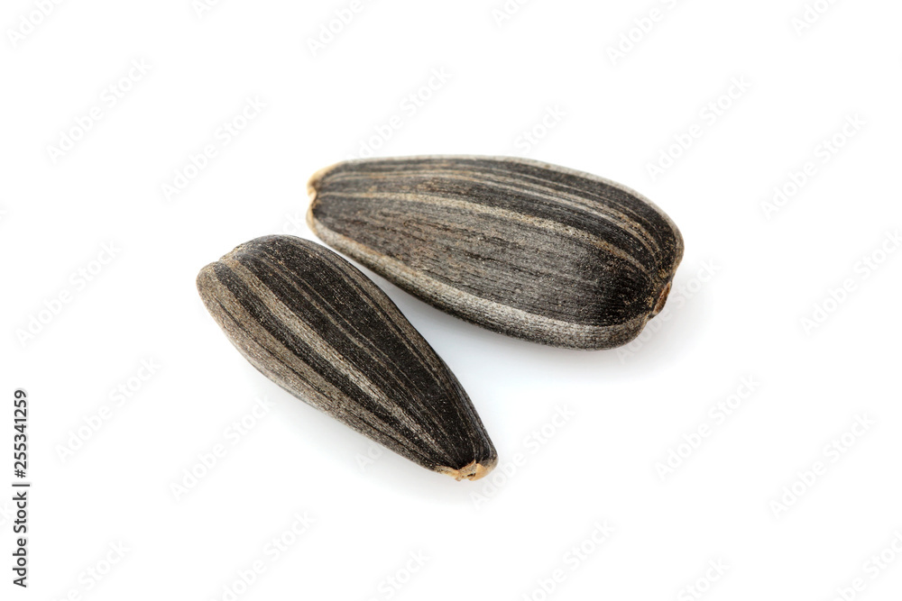 custom made wallpaper toronto digitalSunflower seeds close - up.