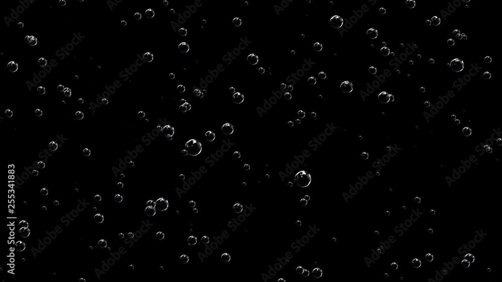 Bubbles are filled with carbon dioxide and float upwards. Bubbles are filled with carbon dioxide and float upwards.