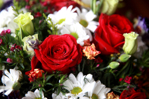Bouquet of fresh roses, red roses heads and chamomile flowers mixed