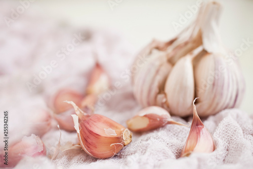 Bulbs of garlic- on bright background