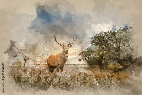 Powerful red deer stag in countryside landscape scene looking out into distance contemplation concept image